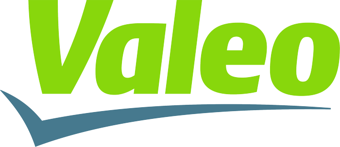 Project Process Engineer. Valeo Auto-Electric Magyarország Kft.